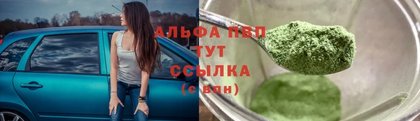 гидра Пестово