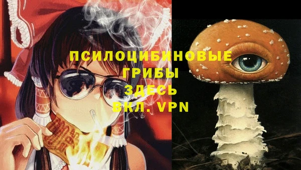 мет Пересвет