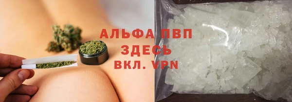 гидра Пестово