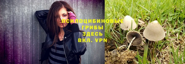 круглые Переславль-Залесский
