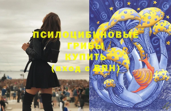 мет Пересвет