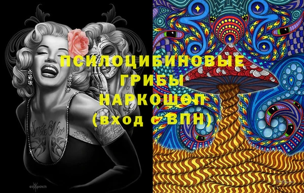 гидра Пестово